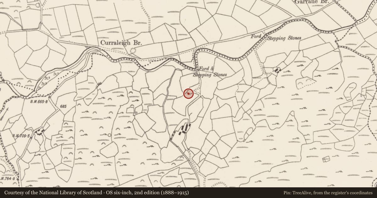 Ordnance Survey six-inch map, 2nd edition (1888–1915) covering the location of Enclosure, Curraleigh, County Cork, with a pin at the register's coordinates
