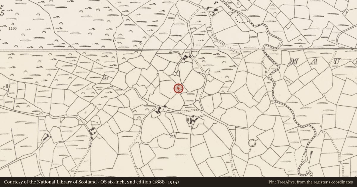 Ordnance Survey six-inch map, 2nd edition (1888–1915) covering the location of Ringfort - rath, Garraneycarney, County Cork, with a pin at the register's coordinates