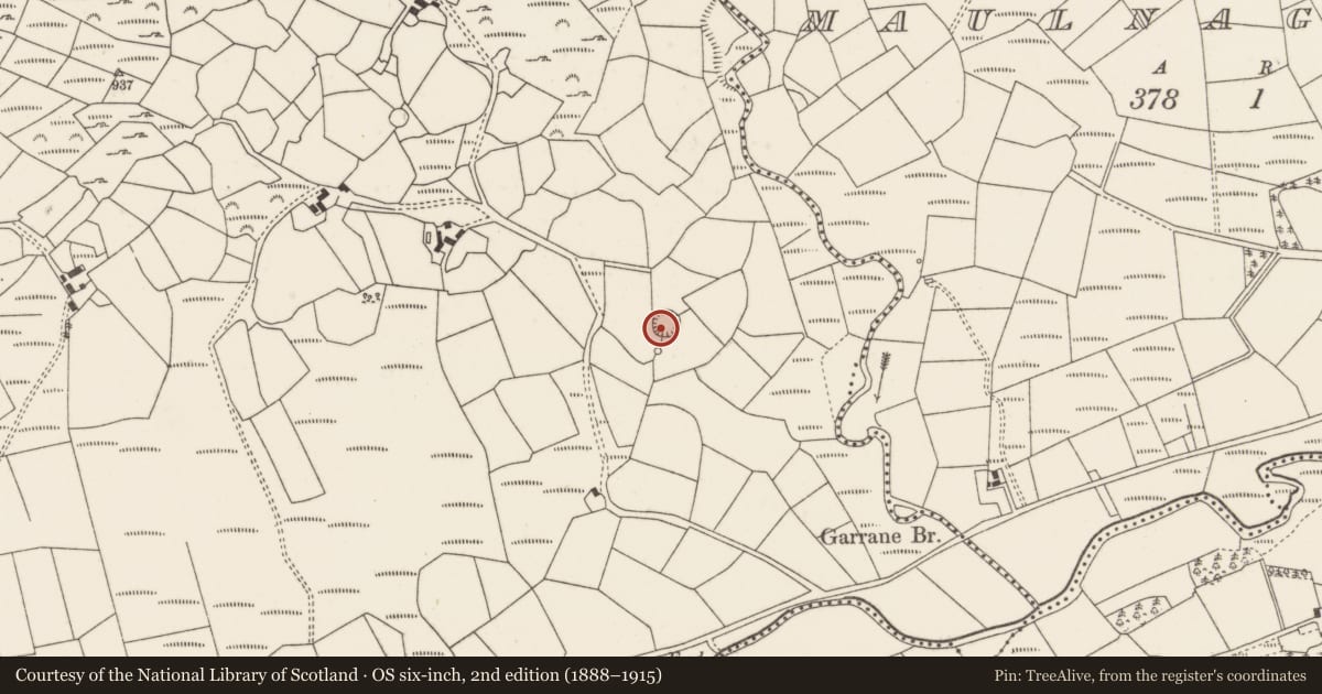 Ordnance Survey six-inch map, 2nd edition (1888–1915) covering the location of Ringfort - rath, Garraneycarney, County Cork, with a pin at the register's coordinates