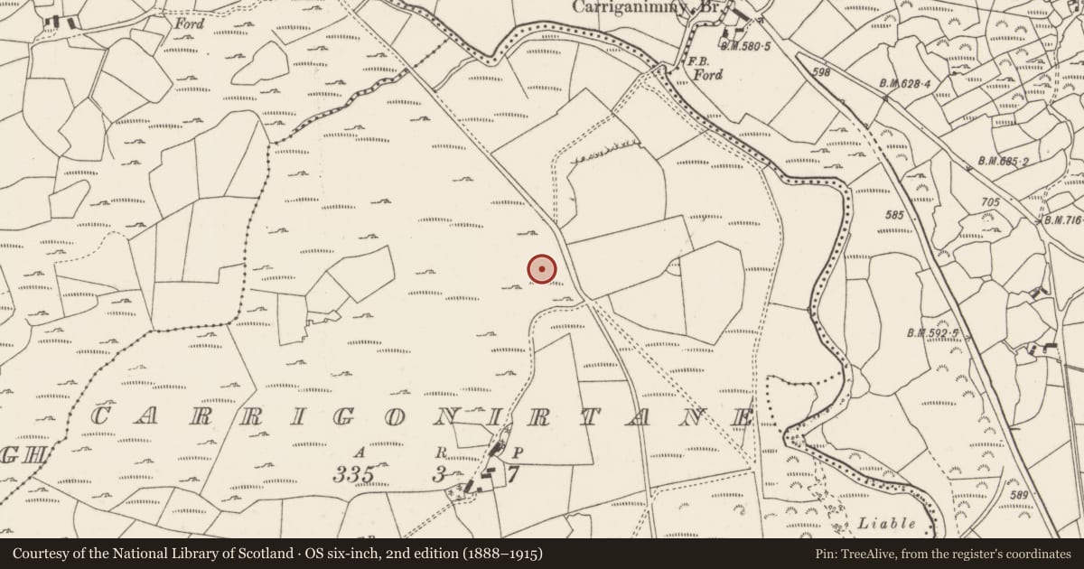 Ordnance Survey six-inch map, 2nd edition (1888–1915) covering the location of Stone circle - five-stone, Carrigonirtane, County Cork, with a pin at the register's coordinates