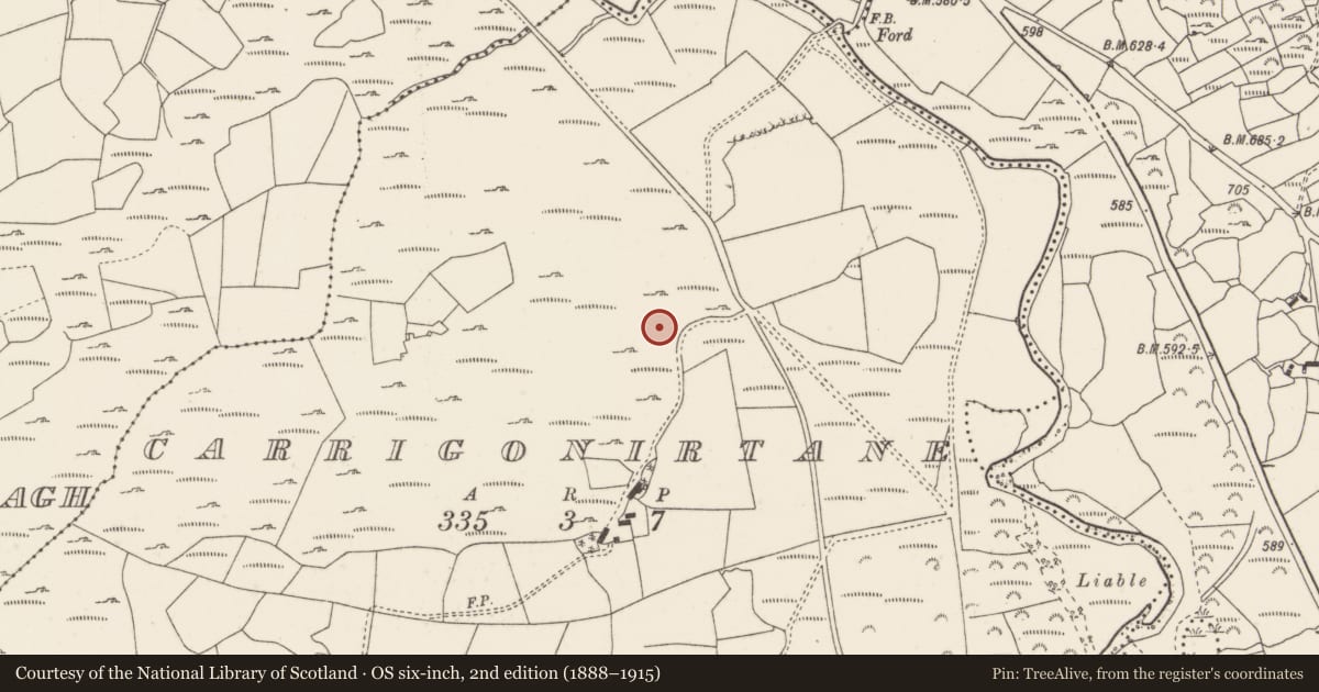 Ordnance Survey six-inch map, 2nd edition (1888–1915) covering the location of Standing stone, Carrigonirtane, County Cork, with a pin at the register's coordinates
