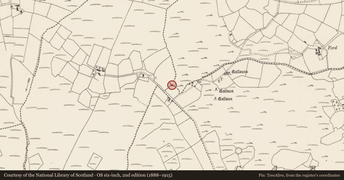 Ordnance Survey six-inch map, 2nd edition (1888–1915) covering the location of Ringfort - rath, Carrigonirtane, County Cork, with a pin at the register's coordinates