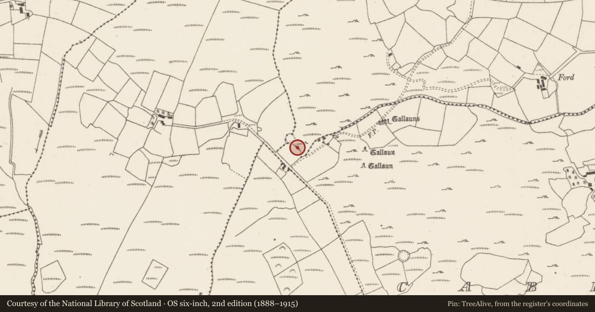 Ordnance Survey six-inch map, 2nd edition (1888–1915) covering the location of Stone row, Carrigonirtane, County Cork, with a pin at the register's coordinates