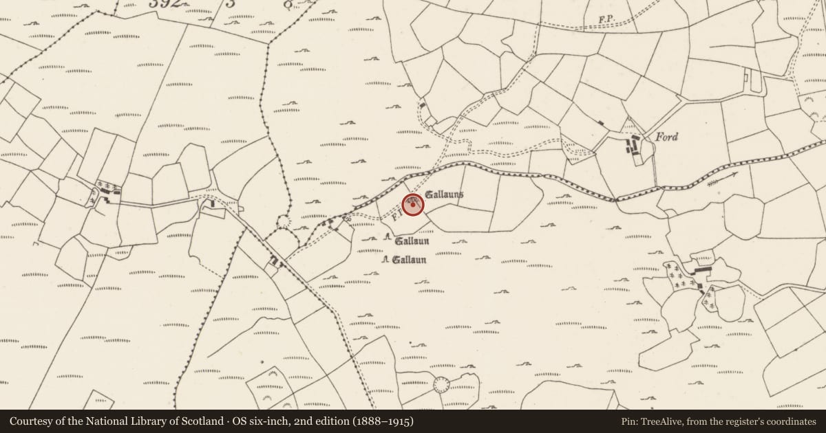 Ordnance Survey six-inch map, 2nd edition (1888–1915) covering the location of Stone row, Cabragh, County Cork, with a pin at the register's coordinates