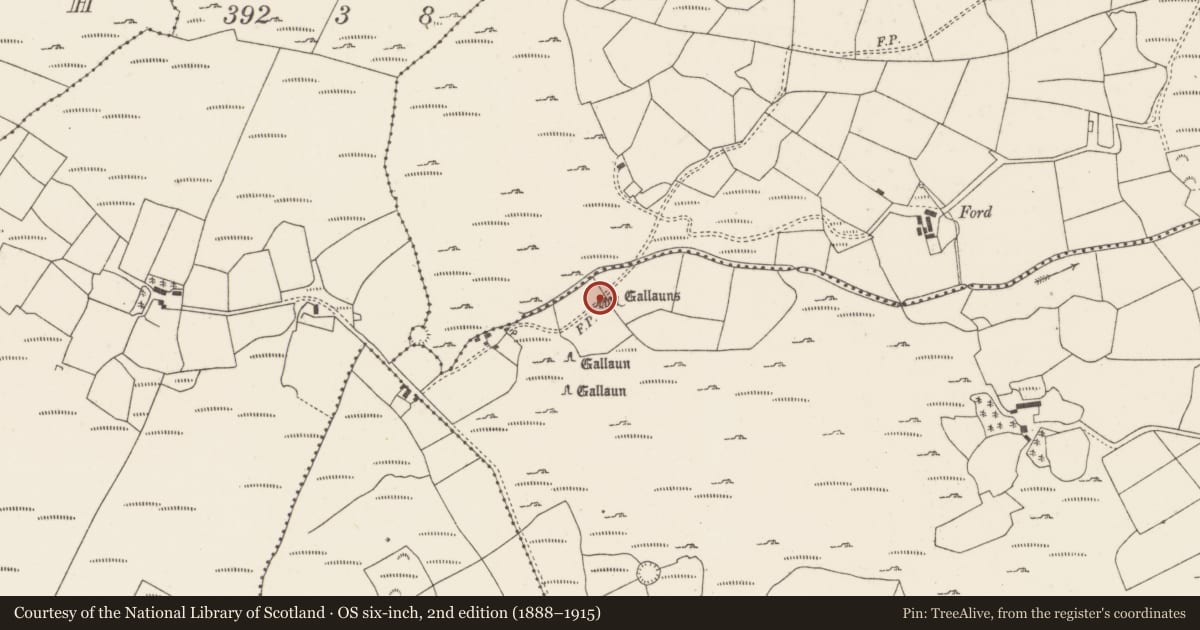 Ordnance Survey six-inch map, 2nd edition (1888–1915) covering the location of Stone circle - five-stone, Cabragh, County Cork, with a pin at the register's coordinates