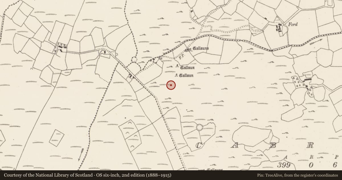 Ordnance Survey six-inch map, 2nd edition (1888–1915) covering the location of Standing stone, Cabragh, County Cork, with a pin at the register's coordinates
