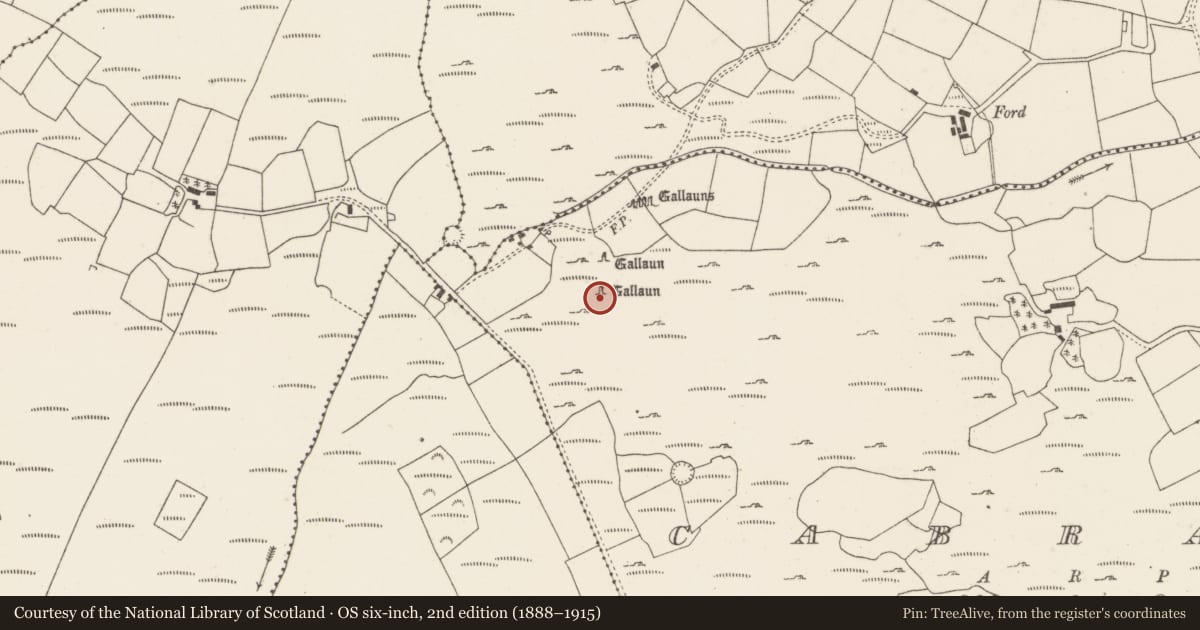 Ordnance Survey six-inch map, 2nd edition (1888–1915) covering the location of Standing stone, Cabragh, County Cork, with a pin at the register's coordinates