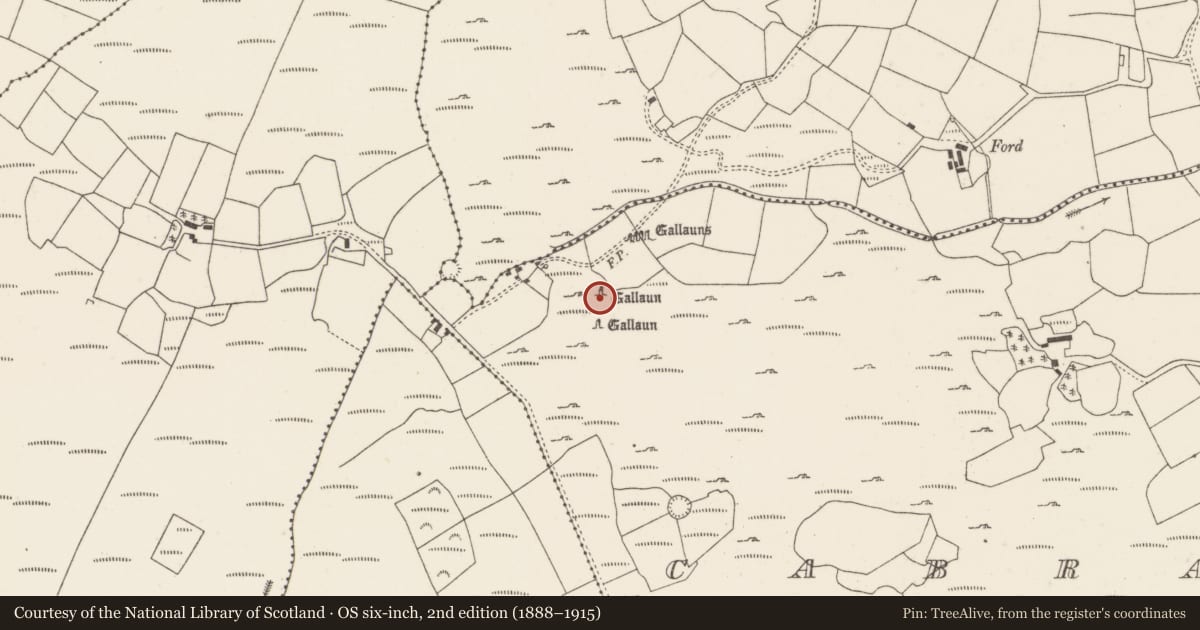 Ordnance Survey six-inch map, 2nd edition (1888–1915) covering the location of Standing stone, Cabragh, County Cork, with a pin at the register's coordinates