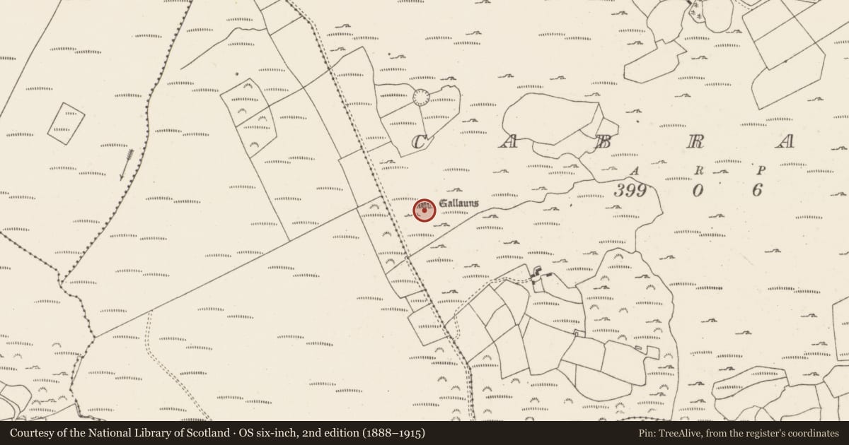 Ordnance Survey six-inch map, 2nd edition (1888–1915) covering the location of Stone row, Cabragh, County Cork, with a pin at the register's coordinates