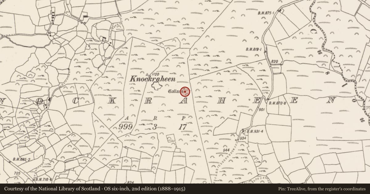 Ordnance Survey six-inch map, 2nd edition (1888–1915) covering the location of Standing stone - pair, Knockraheen, County Cork, with a pin at the register's coordinates