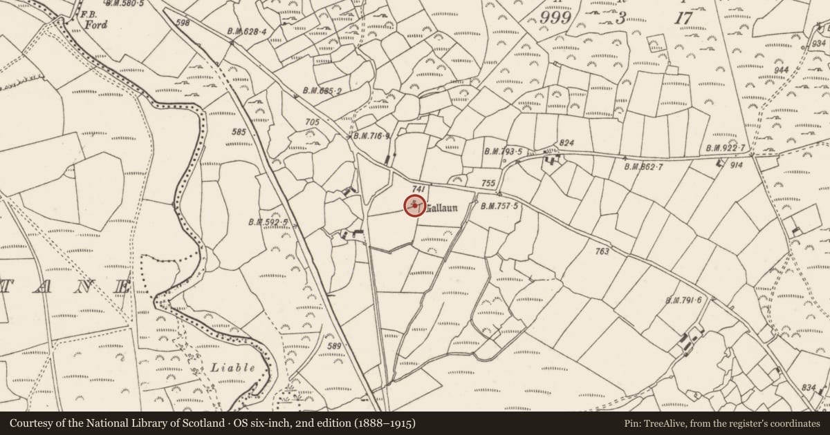 Ordnance Survey six-inch map, 2nd edition (1888–1915) covering the location of Standing stone, Knockraheen, County Cork, with a pin at the register's coordinates