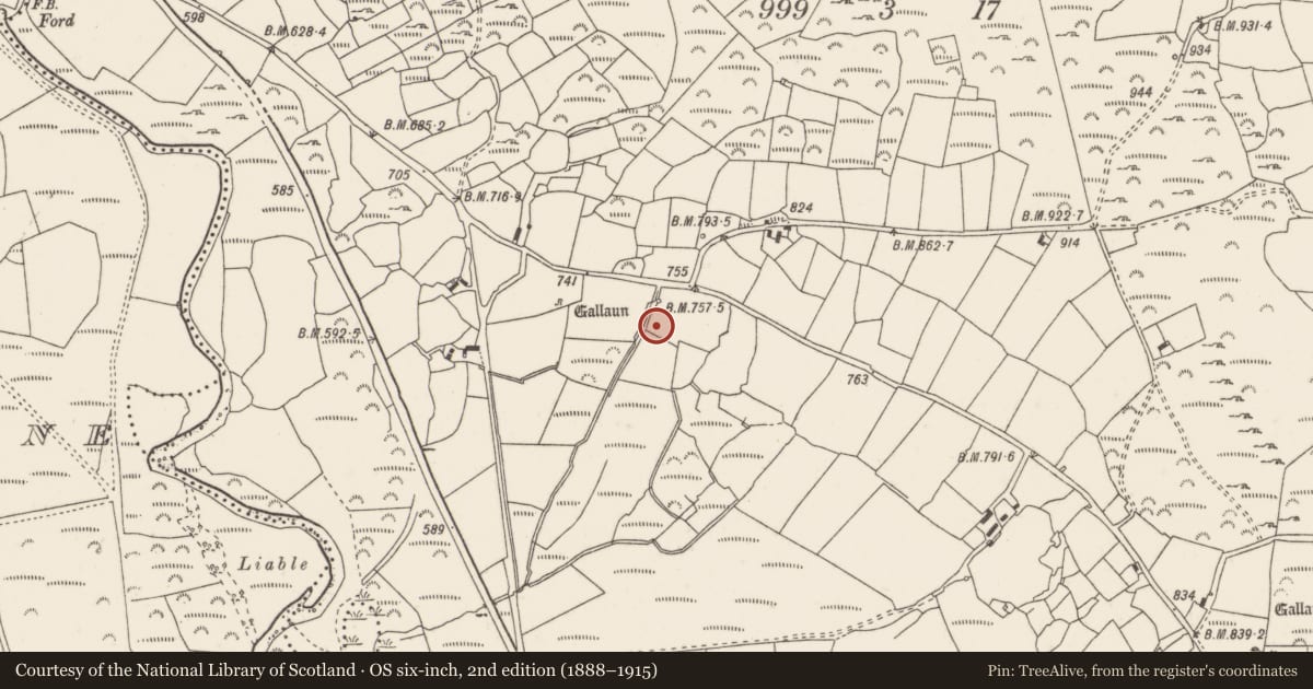 Ordnance Survey six-inch map, 2nd edition (1888–1915) covering the location of Fulacht fia, Knockraheen, County Cork, with a pin at the register's coordinates