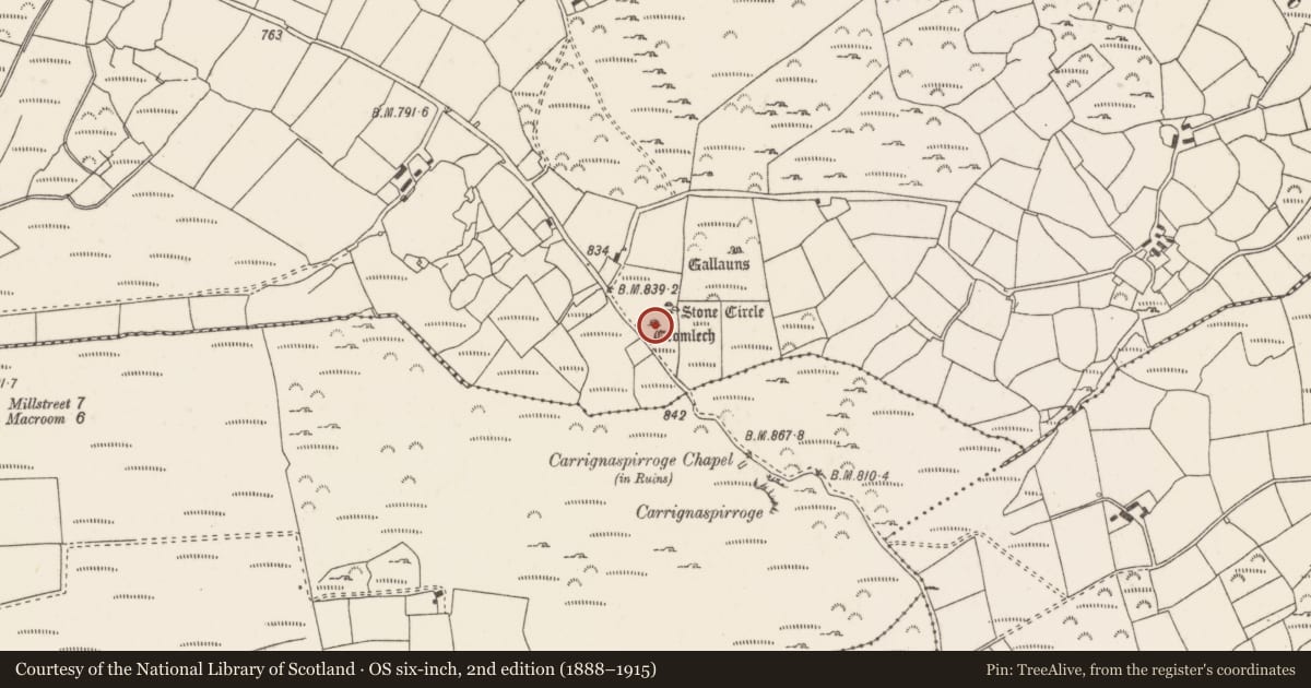 Ordnance Survey six-inch map, 2nd edition (1888–1915) covering the location of Standing stone - pair, Knockraheen, County Cork, with a pin at the register's coordinates