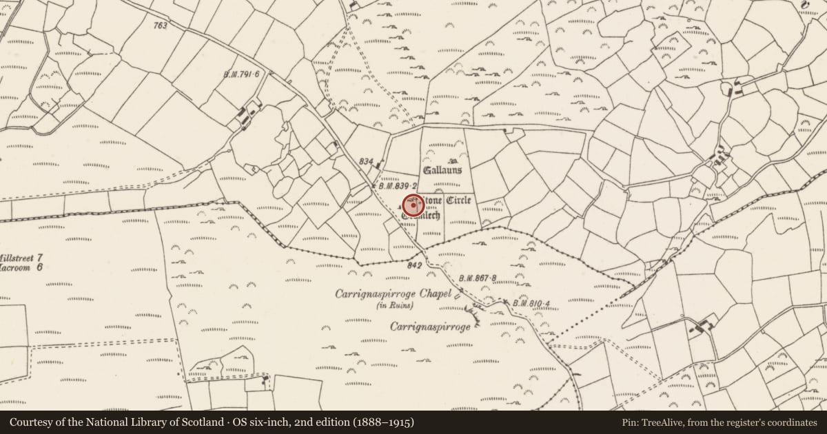Ordnance Survey six-inch map, 2nd edition (1888–1915) covering the location of Stone circle - five-stone, Knockraheen, County Cork, with a pin at the register's coordinates