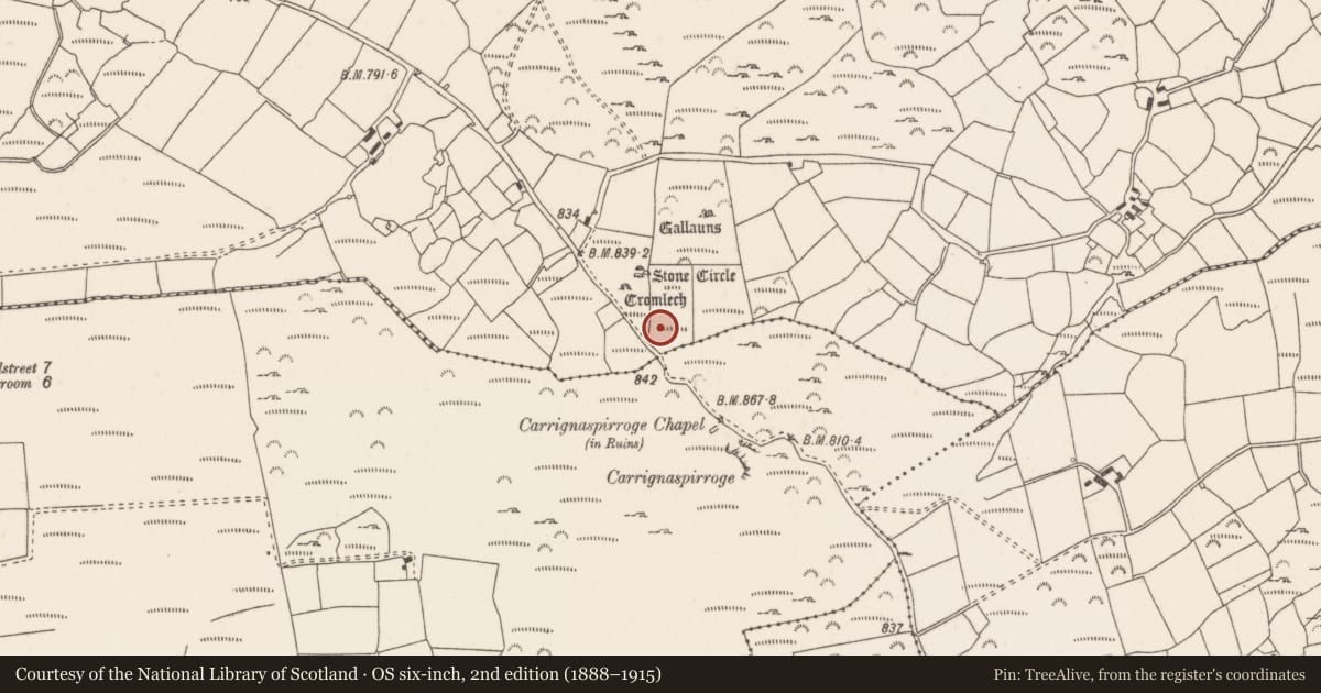 Ordnance Survey six-inch map, 2nd edition (1888–1915) covering the location of Cairn - radial-stone cairn, Knockraheen, County Cork, with a pin at the register's coordinates