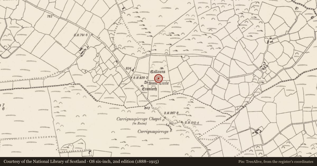 Ordnance Survey six-inch map, 2nd edition (1888–1915) covering the location of Cairn - unclassified, Knockraheen, County Cork, with a pin at the register's coordinates
