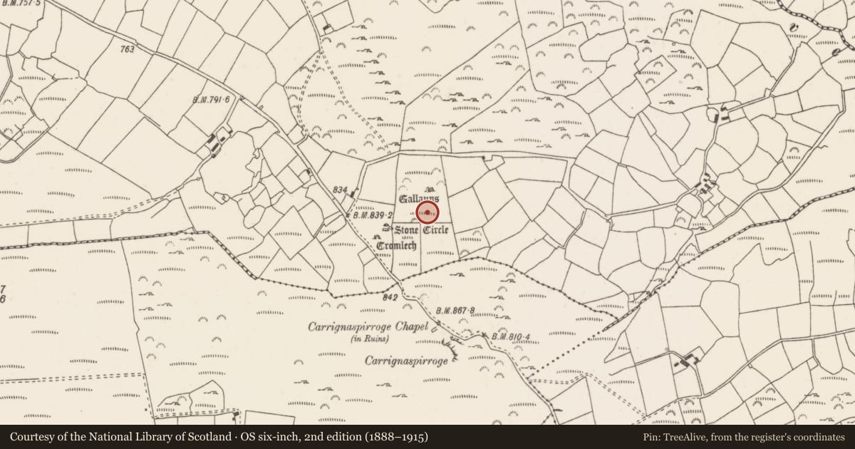 Ordnance Survey six-inch map, 2nd edition (1888–1915) covering the location of Cairn - unclassified, Knockraheen, County Cork, with a pin at the register's coordinates