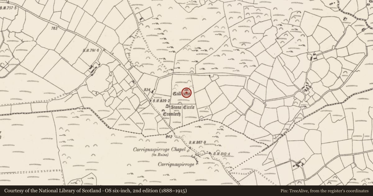 Ordnance Survey six-inch map, 2nd edition (1888–1915) covering the location of Standing stone - pair, Knockraheen, County Cork, with a pin at the register's coordinates