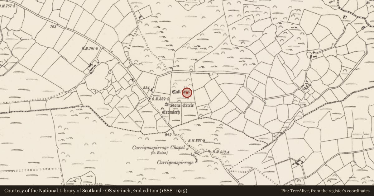 Ordnance Survey six-inch map, 2nd edition (1888–1915) covering the location of Cairn - unclassified, Knockraheen, County Cork, with a pin at the register's coordinates