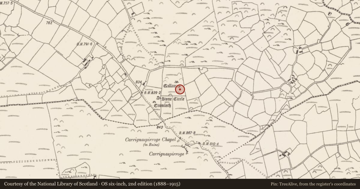 Ordnance Survey six-inch map, 2nd edition (1888–1915) covering the location of Burial ground, Knockraheen, County Cork, with a pin at the register's coordinates
