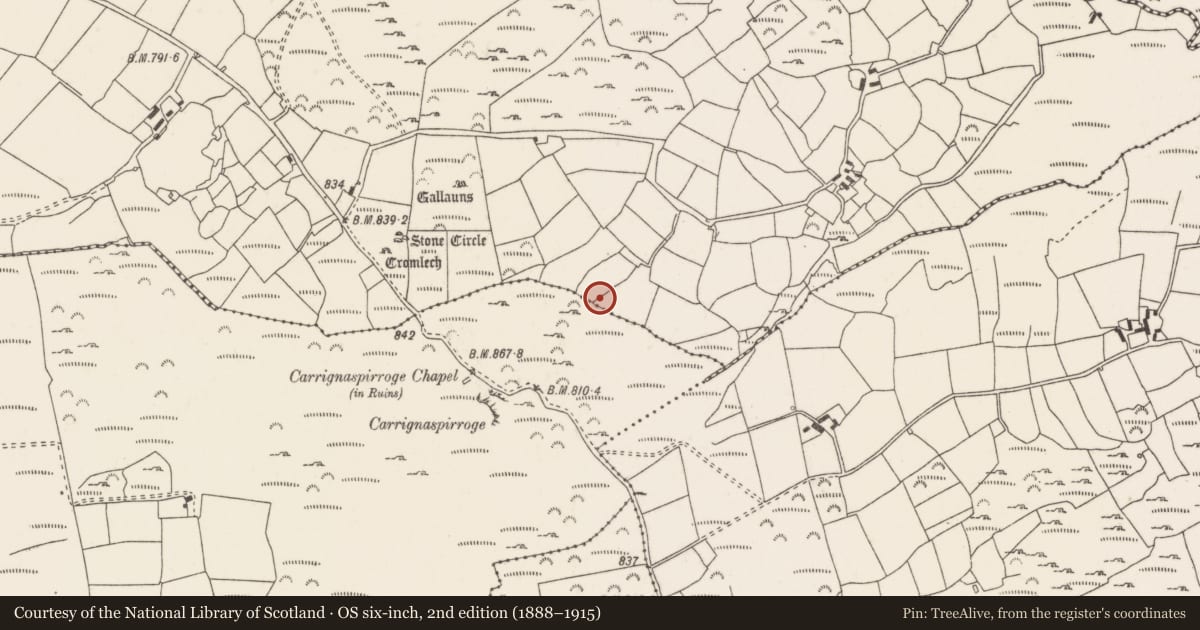 Ordnance Survey six-inch map, 2nd edition (1888–1915) covering the location of Fulacht fia, Knockraheen, County Cork, with a pin at the register's coordinates