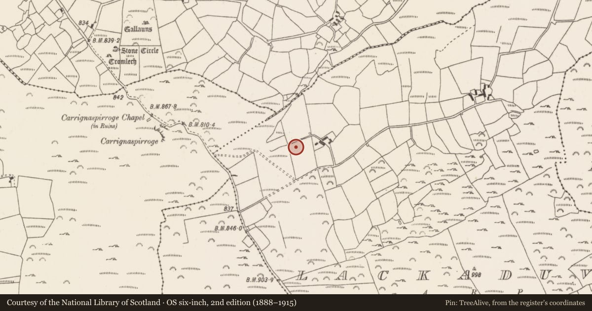 Ordnance Survey six-inch map, 2nd edition (1888–1915) covering the location of Standing stone, Lackaduv, County Cork, with a pin at the register's coordinates