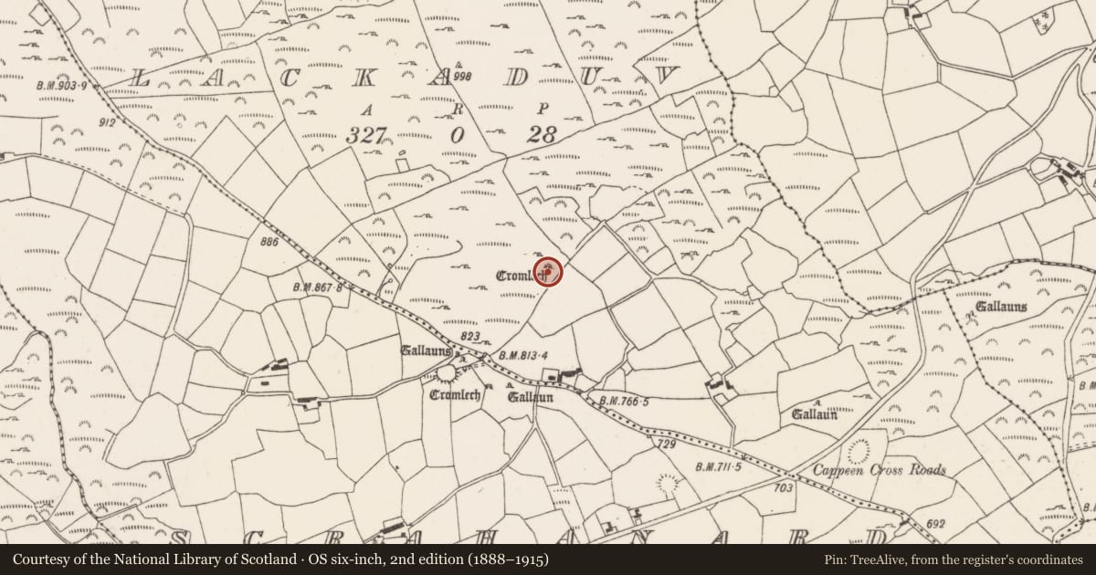 Ordnance Survey six-inch map, 2nd edition (1888–1915) covering the location of Megalithic tomb - wedge tomb, Lackaduv, County Cork, with a pin at the register's coordinates