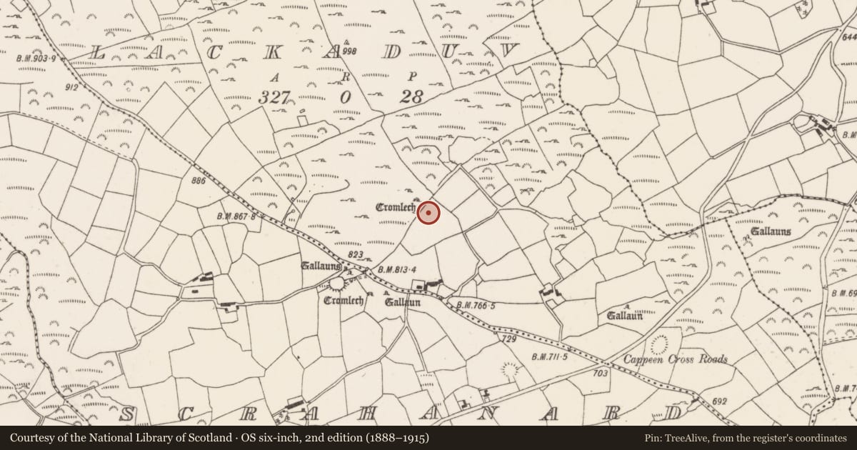 Ordnance Survey six-inch map, 2nd edition (1888–1915) covering the location of Enclosure, Lackaduv, County Cork, with a pin at the register's coordinates