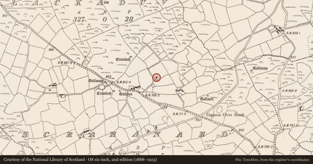 Ordnance Survey six-inch map, 2nd edition (1888–1915) covering the location of Standing stone, Lackaduv, County Cork, with a pin at the register's coordinates
