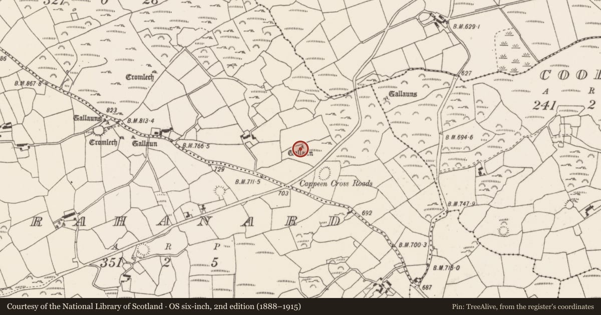Ordnance Survey six-inch map, 2nd edition (1888–1915) covering the location of Standing stone, Lackaduv, County Cork, with a pin at the register's coordinates