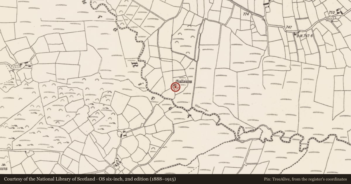 Ordnance Survey six-inch map, 2nd edition (1888–1915) covering the location of Standing stone - pair, Cusloura, County Cork, with a pin at the register's coordinates