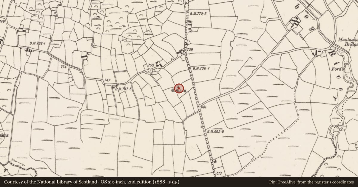 Ordnance Survey six-inch map, 2nd edition (1888–1915) covering the location of Standing stone, Cusloura, County Cork, with a pin at the register's coordinates