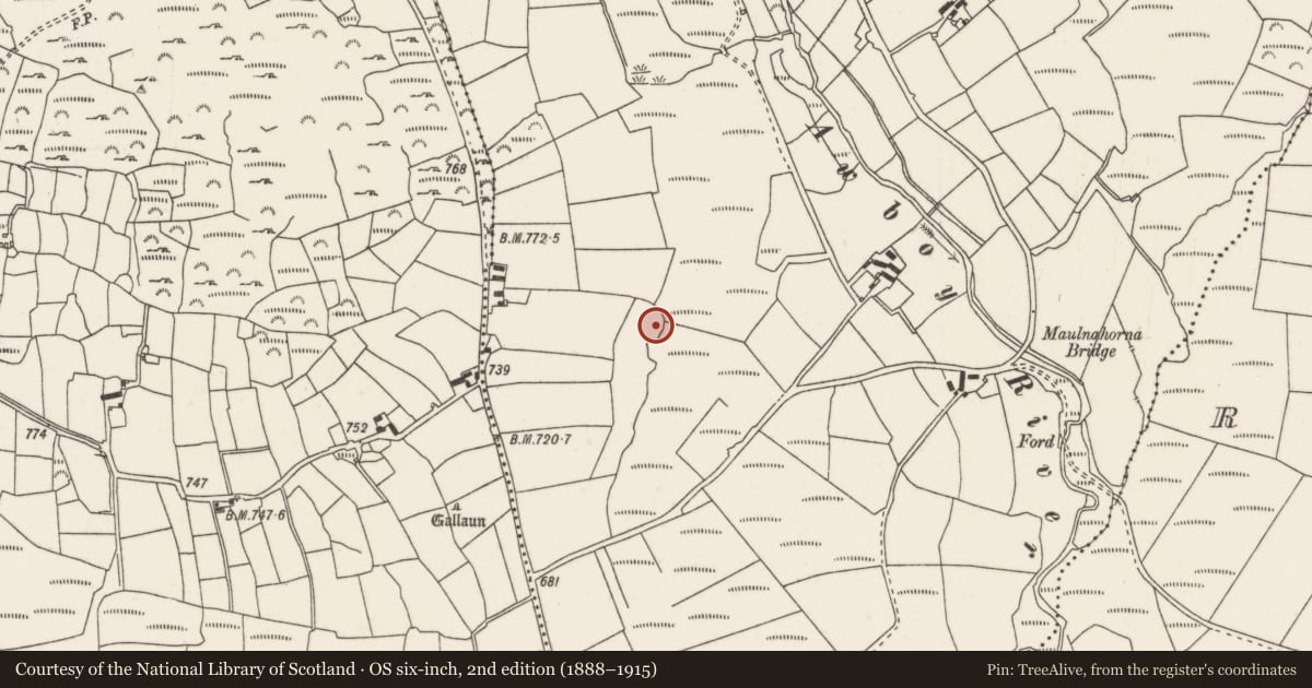 Ordnance Survey six-inch map, 2nd edition (1888–1915) covering the location of Fulacht fia, Maulnahorna, County Cork, with a pin at the register's coordinates