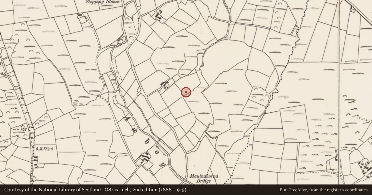 Ordnance Survey six-inch map, 2nd edition (1888–1915) covering the location of Fulacht fia, Maulnahorna, County Cork, with a pin at the register's coordinates