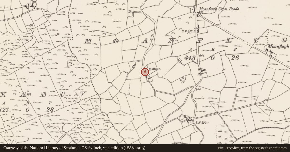 Ordnance Survey six-inch map, 2nd edition (1888–1915) covering the location of Standing stone, Moanflugh, County Cork, with a pin at the register's coordinates