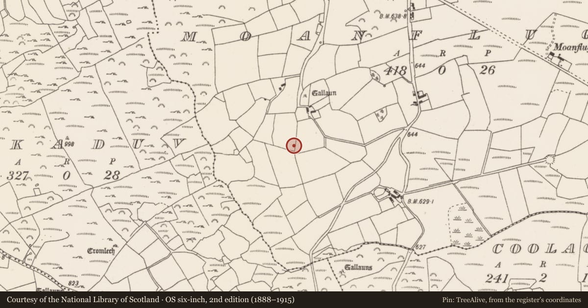 Ordnance Survey six-inch map, 2nd edition (1888–1915) covering the location of Standing stone, Moanflugh, County Cork, with a pin at the register's coordinates