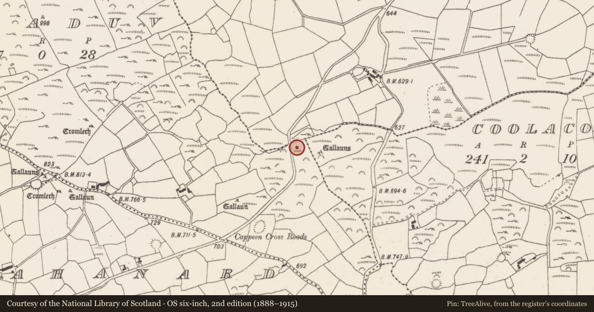 Ordnance Survey six-inch map, 2nd edition (1888–1915) covering the location of Fulacht fia, Moanflugh, County Cork, with a pin at the register's coordinates