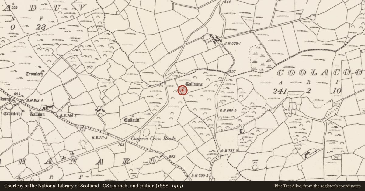 Ordnance Survey six-inch map, 2nd edition (1888–1915) covering the location of Stone row, Coolacoosane, County Cork, with a pin at the register's coordinates