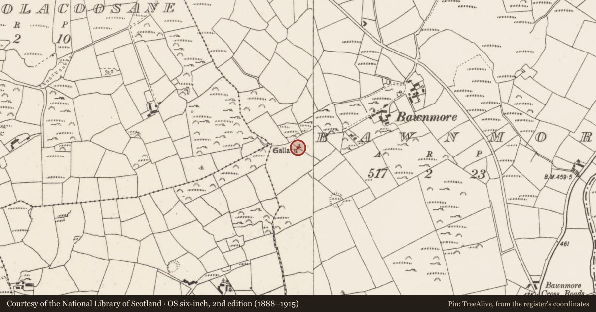 Ordnance Survey six-inch map, 2nd edition (1888–1915) covering the location of Standing stone, Bawnmore, County Cork, with a pin at the register's coordinates