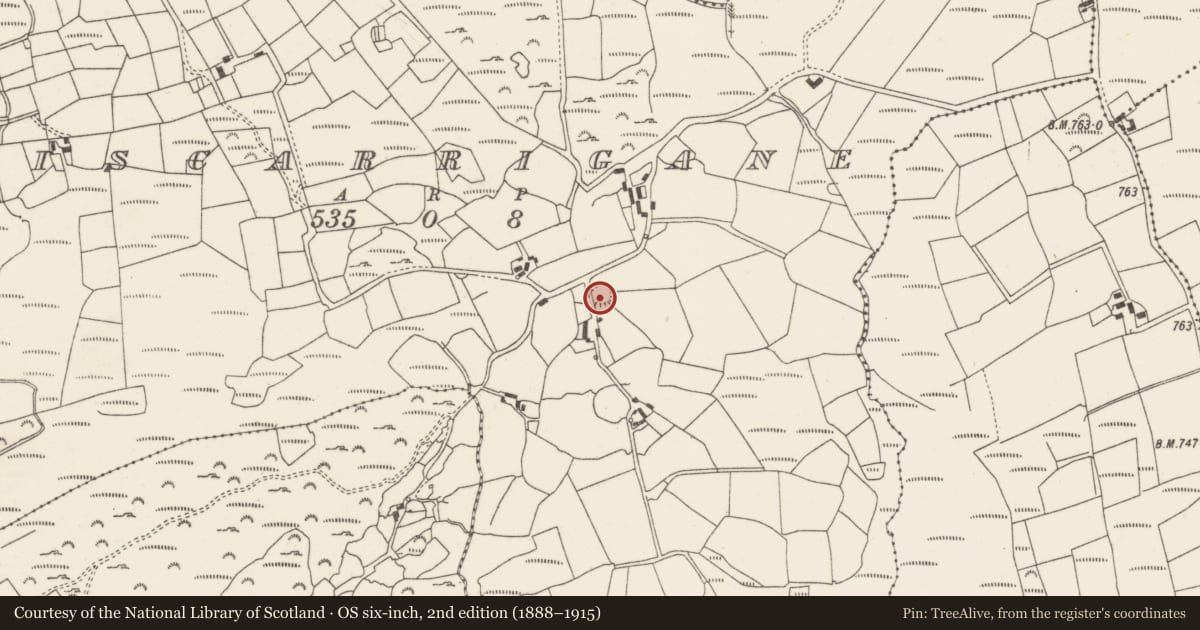Ordnance Survey six-inch map, 2nd edition (1888–1915) covering the location of Ringfort - rath, Lios Carragáin, County Cork, with a pin at the register's coordinates