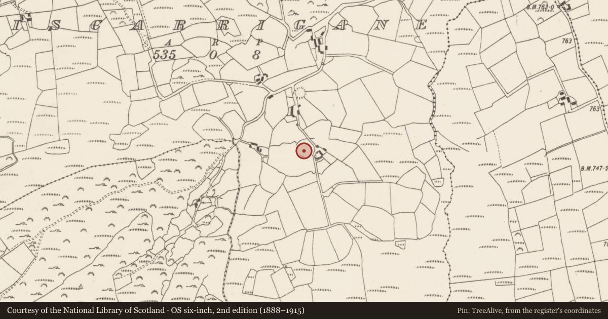 Ordnance Survey six-inch map, 2nd edition (1888–1915) covering the location of Bullaun stone, Lios Carragáin, County Cork, with a pin at the register's coordinates