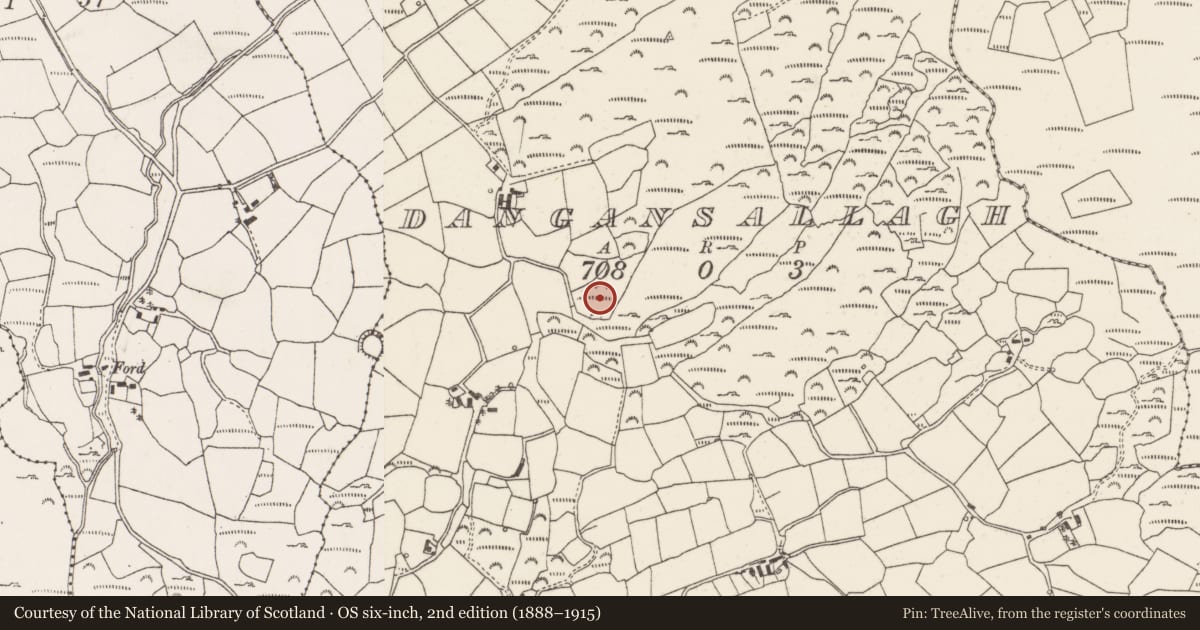 Ordnance Survey six-inch map, 2nd edition (1888–1915) covering the location of Cairn - unclassified, Daingean Na Saileach, County Cork, with a pin at the register's coordinates