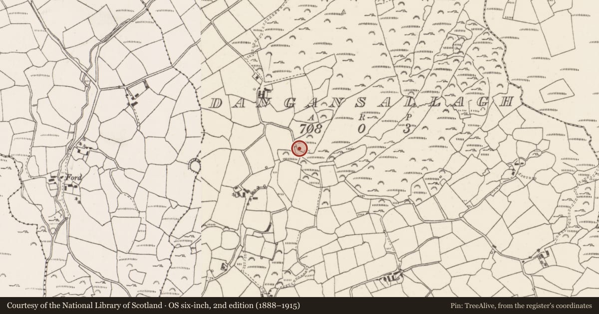 Ordnance Survey six-inch map, 2nd edition (1888–1915) covering the location of Cairn - ring-cairn, Daingean Na Saileach, County Cork, with a pin at the register's coordinates