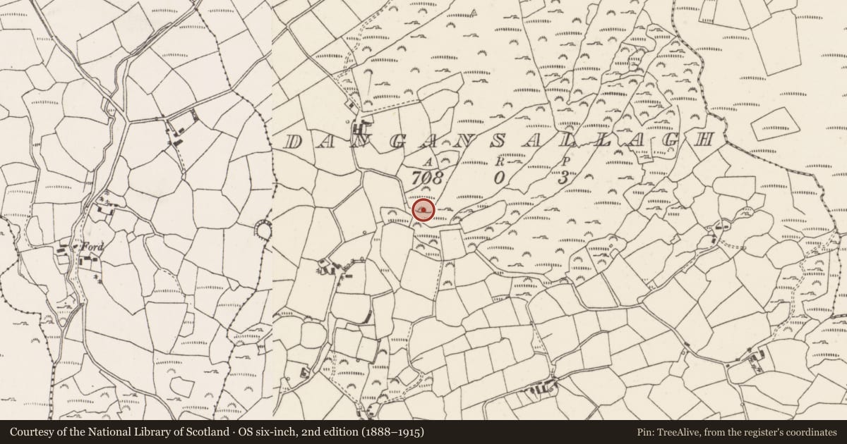 Ordnance Survey six-inch map, 2nd edition (1888–1915) covering the location of Kiln - corn-drying, Daingean Na Saileach, County Cork, with a pin at the register's coordinates