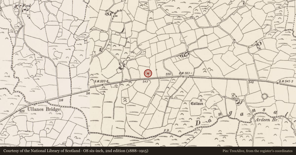 Ordnance Survey six-inch map, 2nd edition (1888–1915) covering the location of Ringfort - rath, Daingean Na Saileach, County Cork, with a pin at the register's coordinates