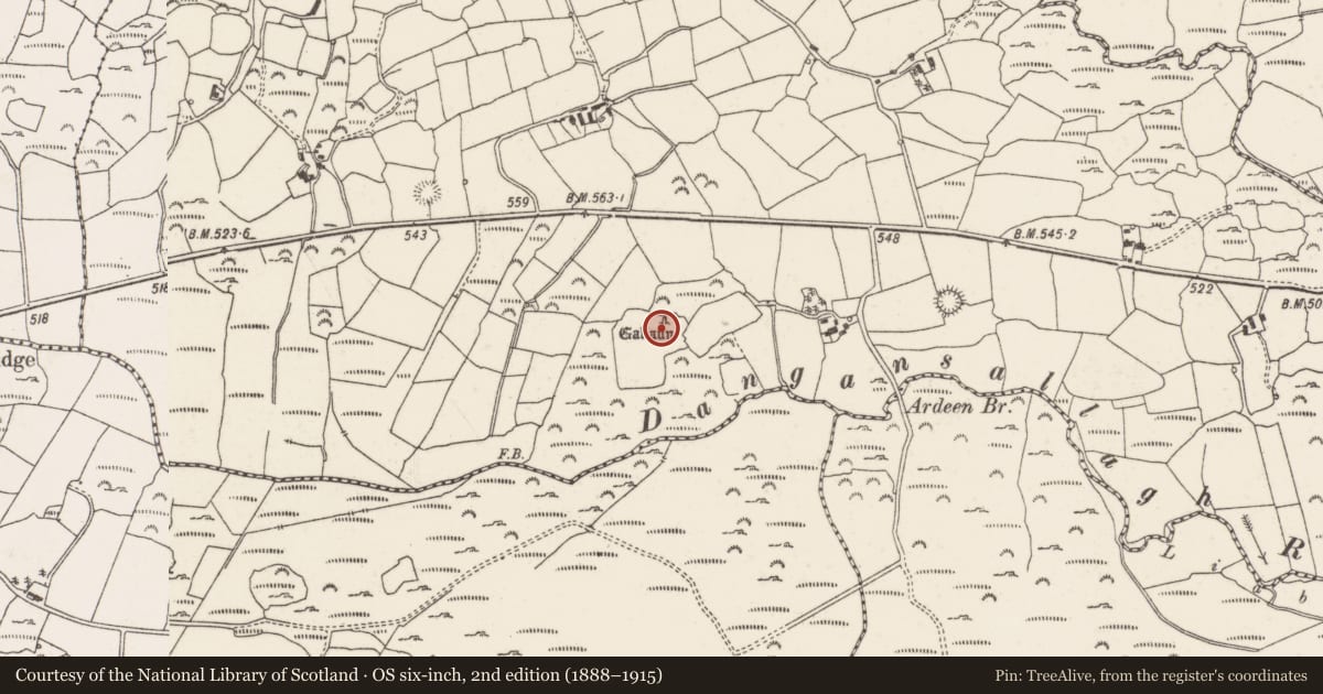 Ordnance Survey six-inch map, 2nd edition (1888–1915) covering the location of Standing stone, Daingean Na Saileach, County Cork, with a pin at the register's coordinates