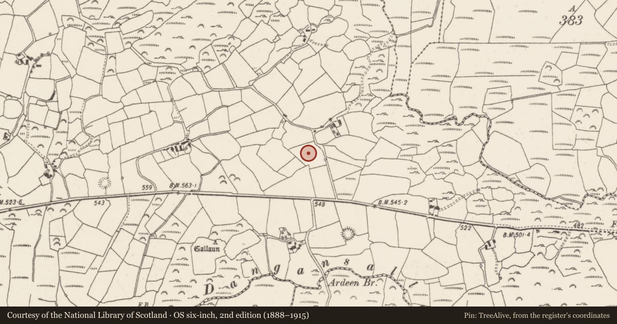 Ordnance Survey six-inch map, 2nd edition (1888–1915) covering the location of Fulacht fia, Daingean Na Saileach, County Cork, with a pin at the register's coordinates