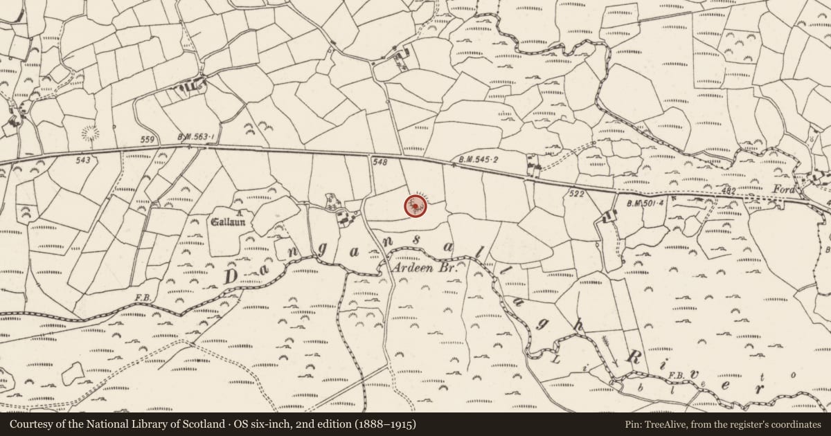 Ordnance Survey six-inch map, 2nd edition (1888–1915) covering the location of Ringfort - rath, Daingean Na Saileach, County Cork, with a pin at the register's coordinates