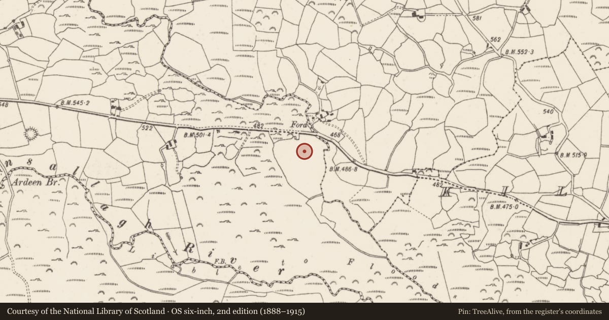 Ordnance Survey six-inch map, 2nd edition (1888–1915) covering the location of Earthwork, Daingean Na Saileach, County Cork, with a pin at the register's coordinates