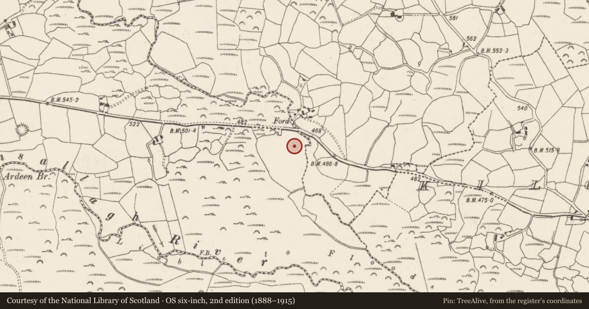 Ordnance Survey six-inch map, 2nd edition (1888–1915) covering the location of Standing stone, Daingean Na Saileach, County Cork, with a pin at the register's coordinates